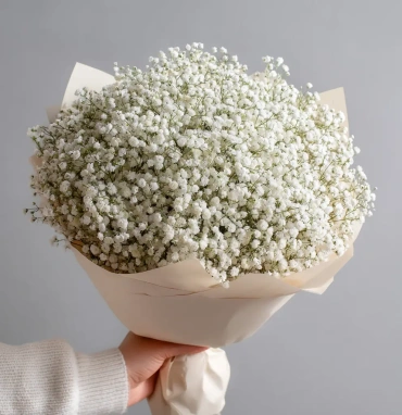Монобукет из белой гипсофилы