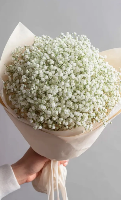 Монобукет из гипсофилы «Лёгкий штрих»