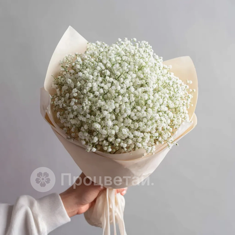 Монобукет из гипсофилы &laquo;Лёгкий штрих&raquo;