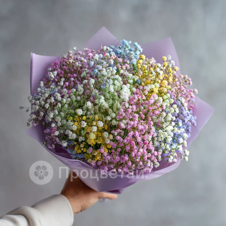 Монобукет из гипсофилы &laquo;Пушистая симфония&raquo;