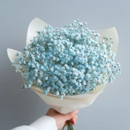 Монобукет из гипсофилы &laquo;Лунный свет&raquo; 0