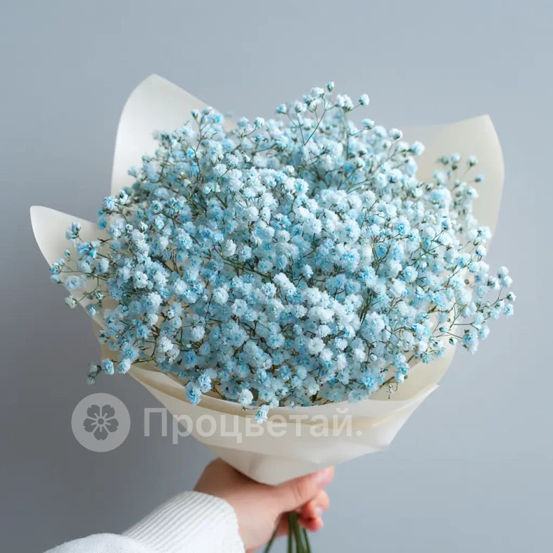 Монобукет из гипсофилы &laquo;Лунный свет&raquo;