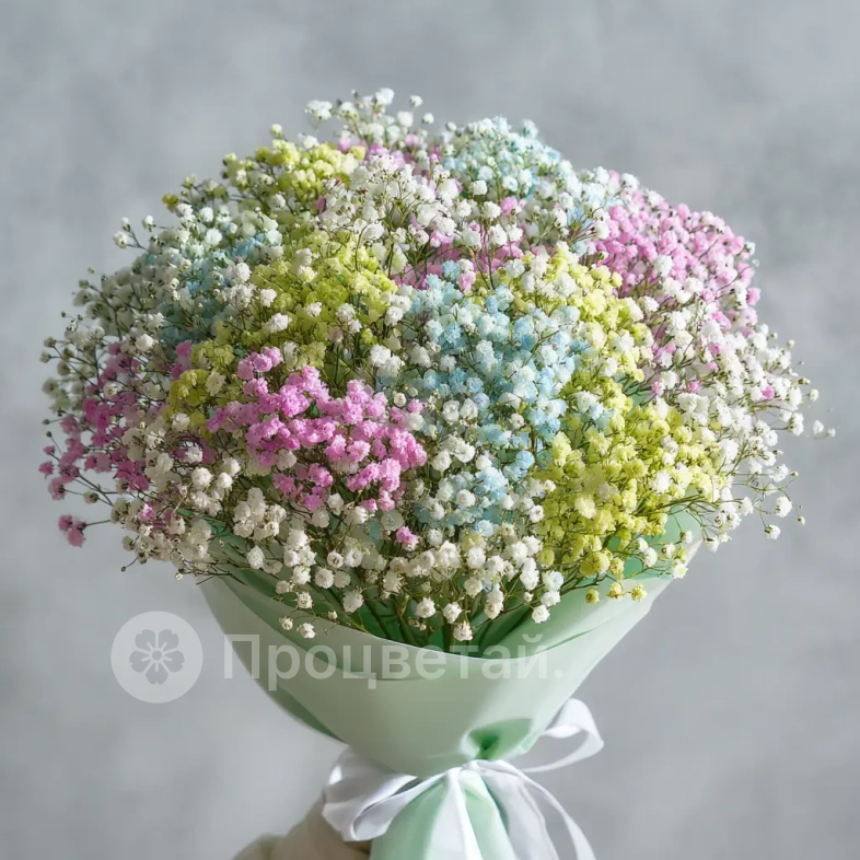 Монобукет из гипсофилы &laquo;Нежный акцент&raquo;