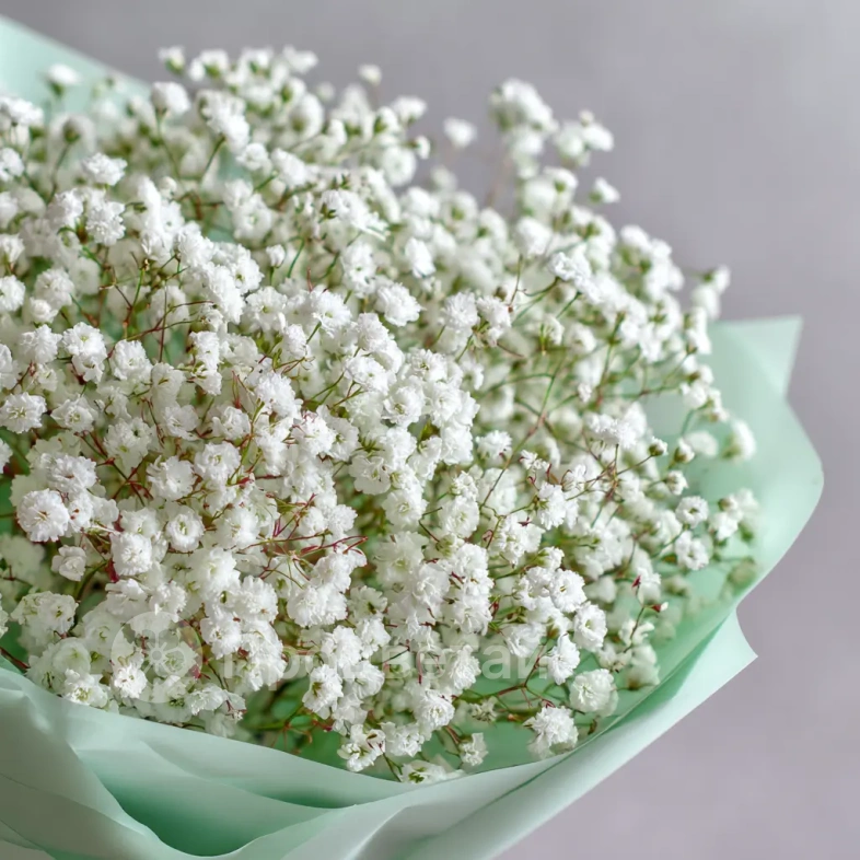 Монобукет из гипсофилы &laquo;Молочная вуаль&raquo;