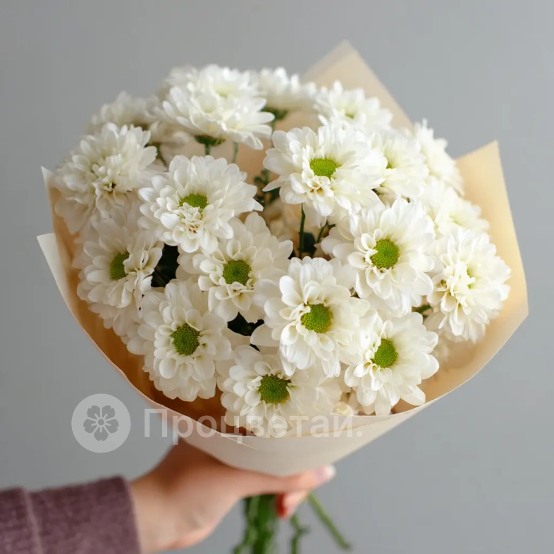 Монобукет из белых хризантем