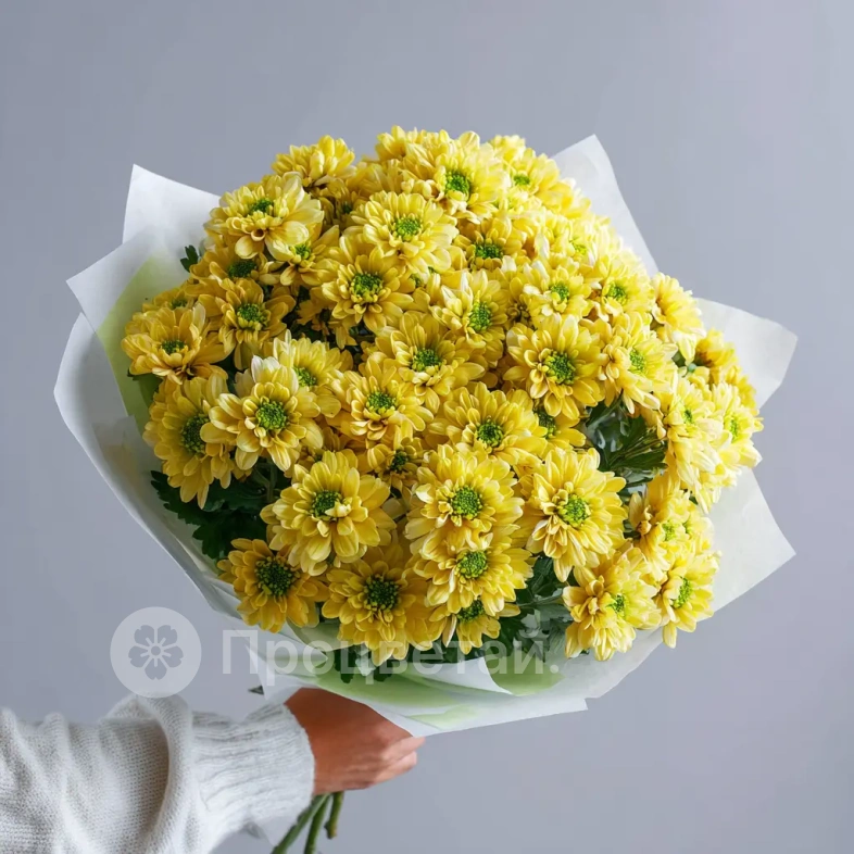 Монобукет из хризантем &laquo;Солнечное касание&raquo;