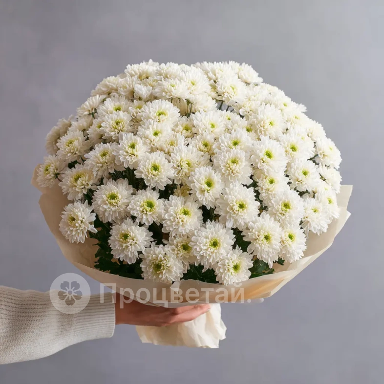 Монобукет из хризантем &laquo;Белое облако&raquo;