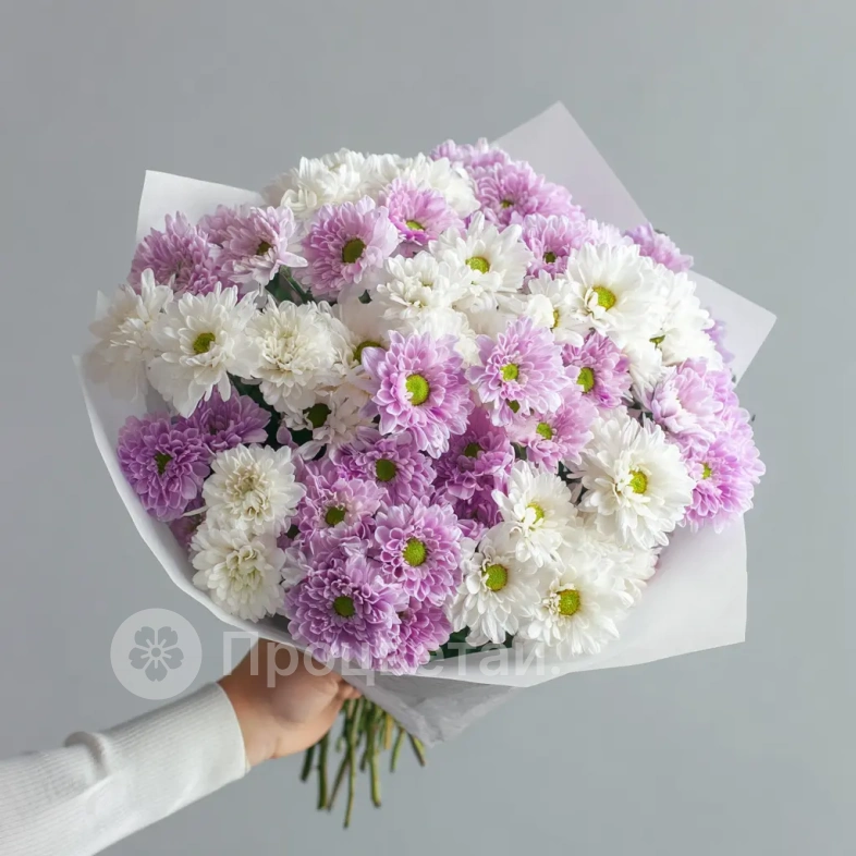 Монобукет из хризантем &laquo;Нежный комплимент&raquo;
