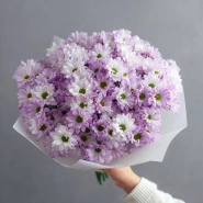 Монобукет из хризантем &laquo;Нежный комплимент&raquo; 1